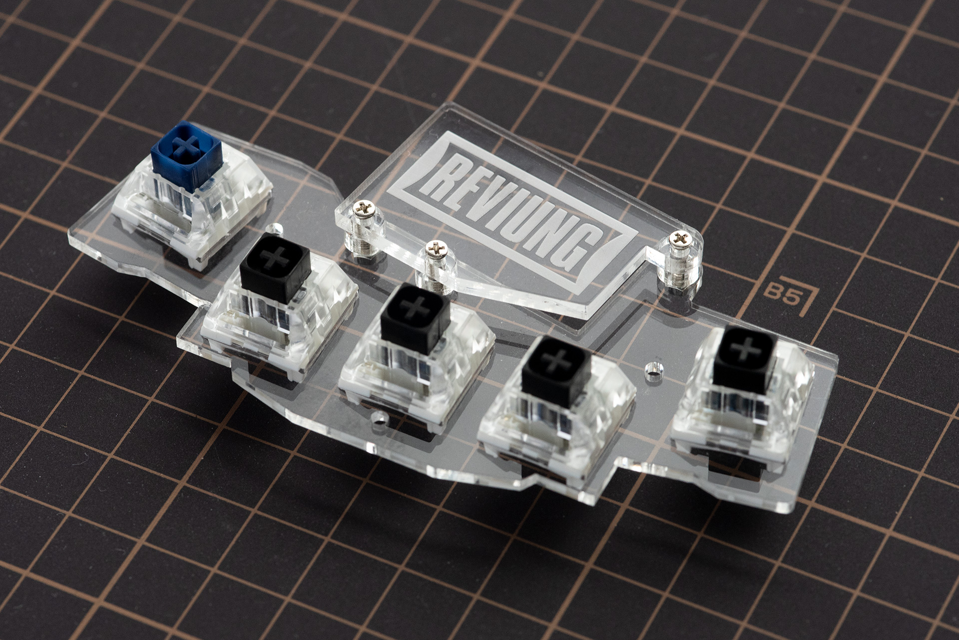 MX switches fitted into the top plate